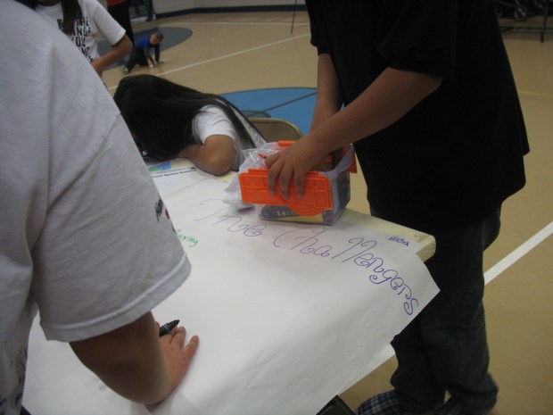 YES Program - Youth Advocacy Activity